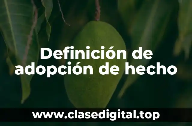Definición de adopción de hecho
