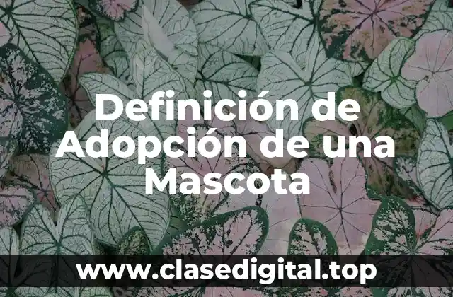 Definición de Adopción de una Mascota