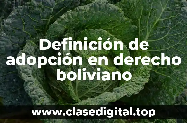 Definición de adopción en derecho boliviano