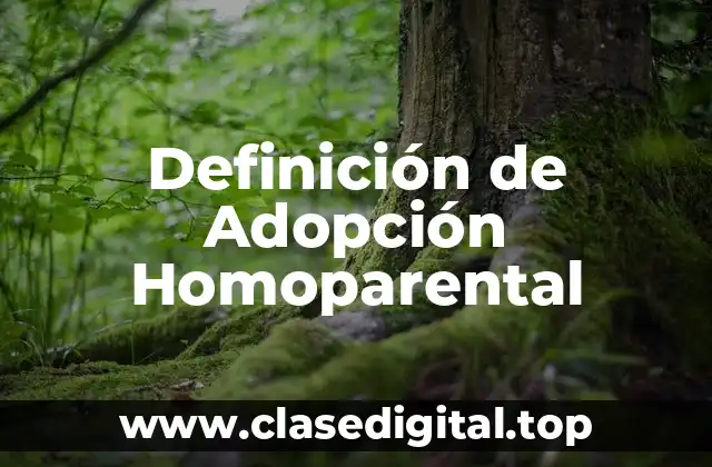 Definición técnica de Adopción Homoparental