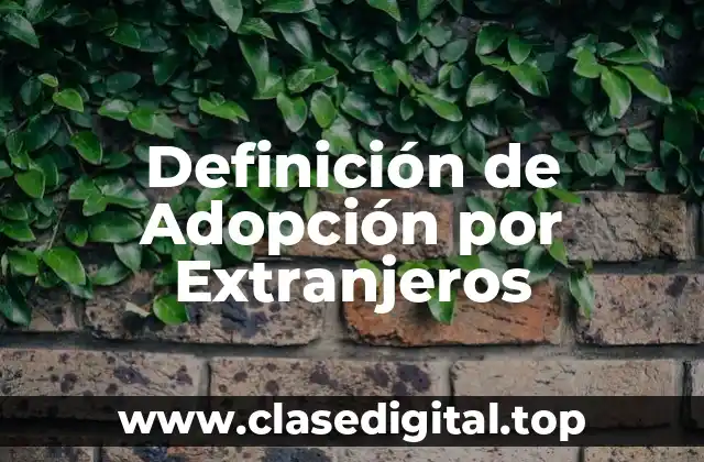 Definición de Adopción por Extranjeros