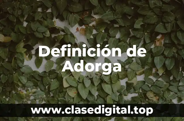 Definición de Adorga