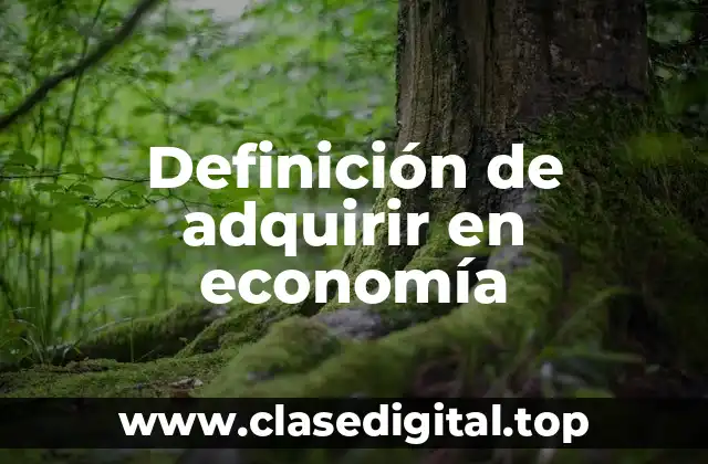 Definición de adquirir en economía