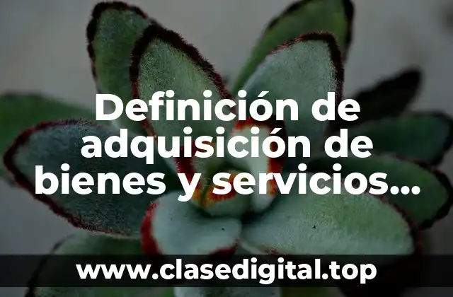 Definición de adquisición de bienes y servicios informáticos