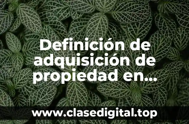 Definición de adquisición de propiedad en derecho administrativo
