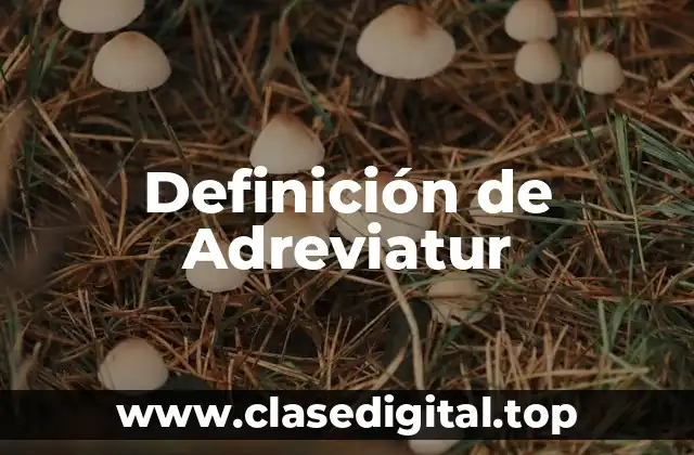 Definición de Adreviatur