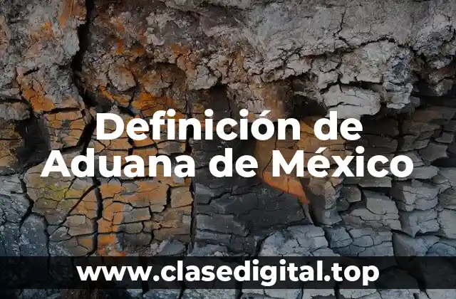 Definición de Aduana de México