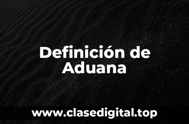 Definición técnica de Aduana