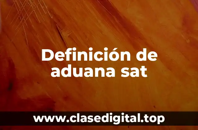 Definición técnica de aduana SAT