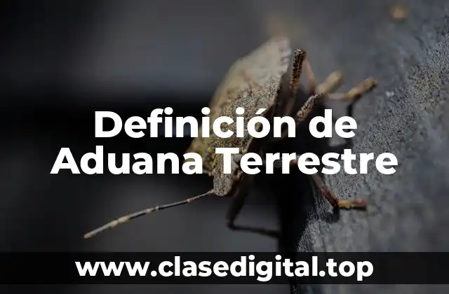 Definición de Aduana Terrestre