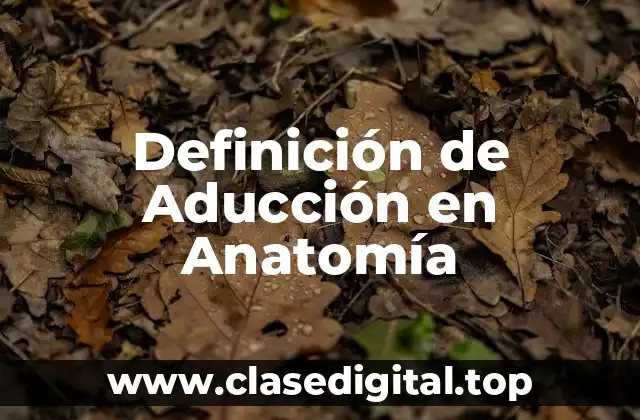 Definición de Aducción en Anatomía