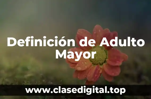 Definición Técnica de Adulto Mayor