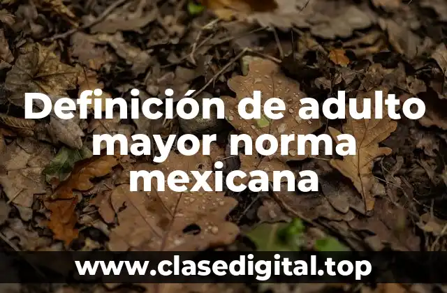 Definición técnica de adulto mayor