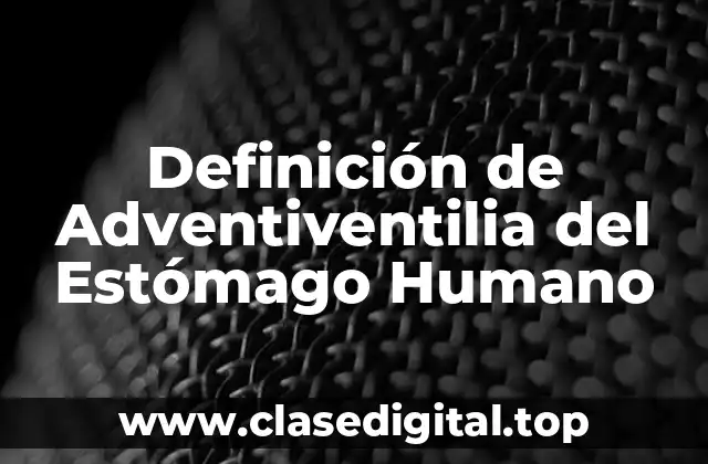 Definición de Adventiventilia del Estómago Humano