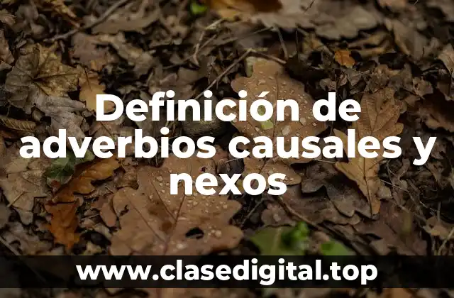 Definición de adverbios causales y nexos