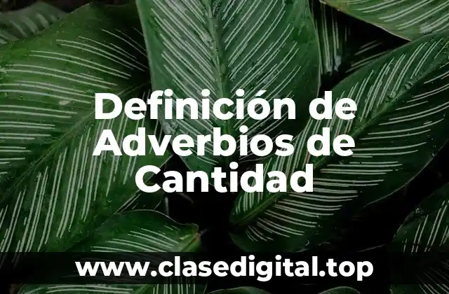 Definición de Adverbios de Cantidad