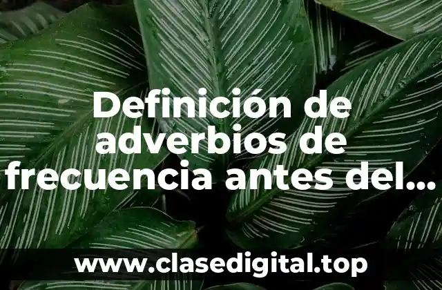 Definición de adverbios de frecuencia antes del verbo