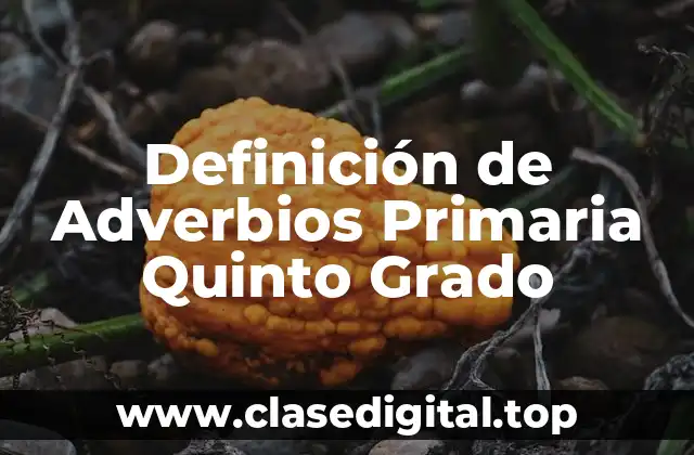 Definición de Adverbios Primaria Quinto Grado