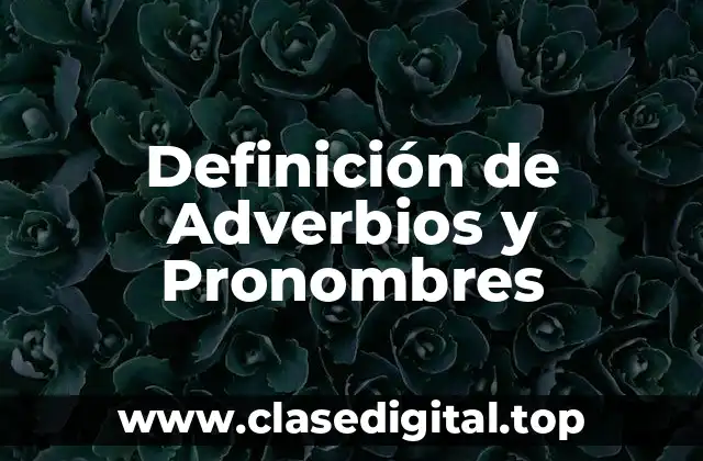 Definición de Adverbios y Pronombres