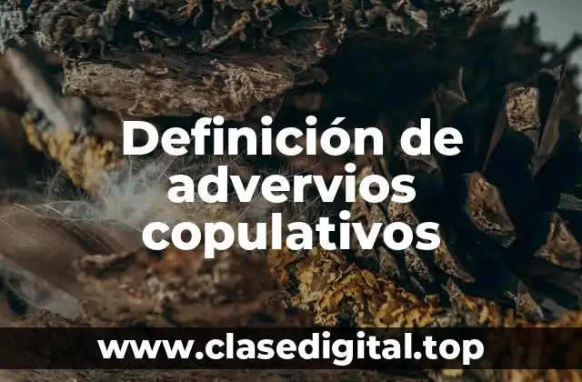 Ejemplos de adverbios copulativos