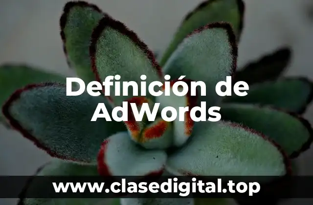 Definición de AdWords