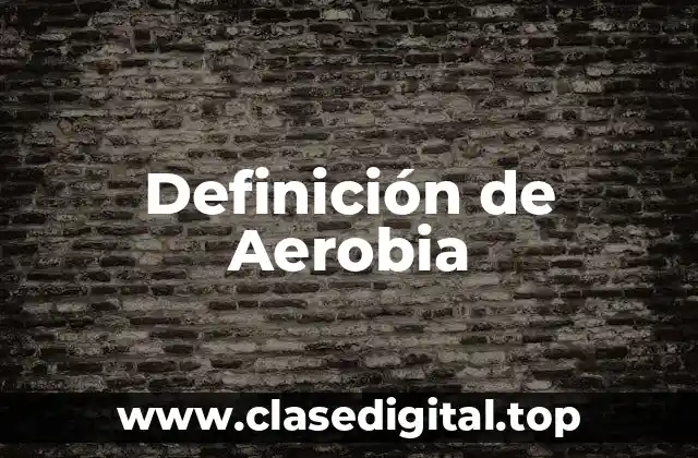 Definición de Aerobia