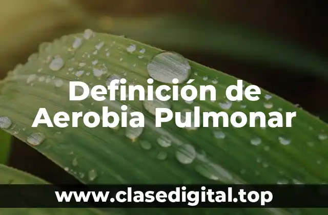 Definición de Aerobia Pulmonar