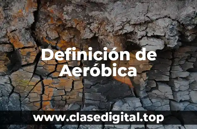 Definición técnica de Aeróbica