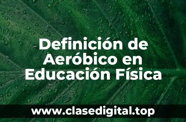 Definición de Aeróbico en Educación Física