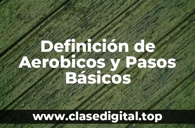 Definición de Aerobicos y Pasos Básicos