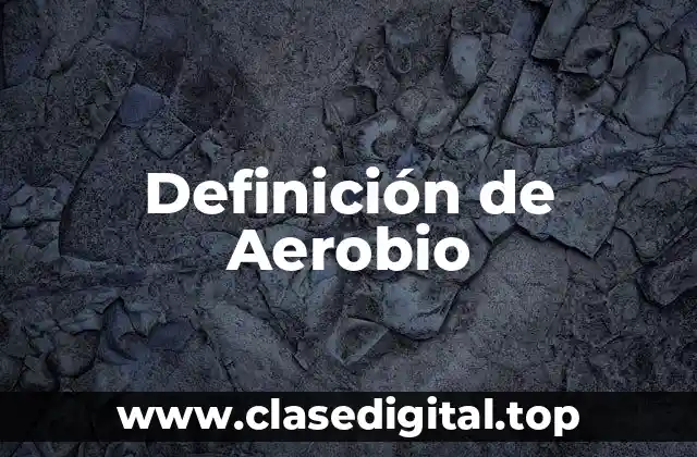 Definición técnica de Aerobio