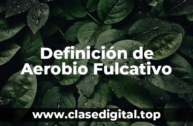 Definición de Aerobio Fulcativo