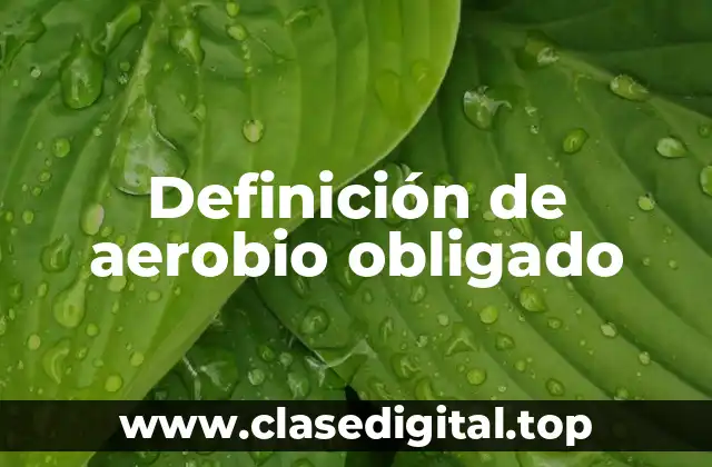 Definición de aerobio obligado