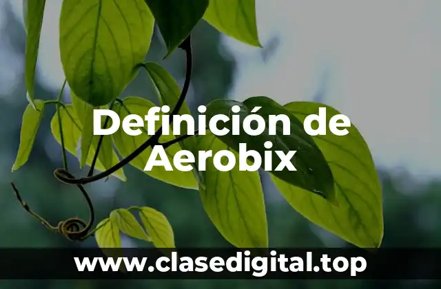 Definición de Aerobix
