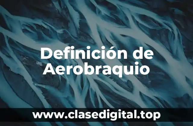 Definición de Aerobraquio