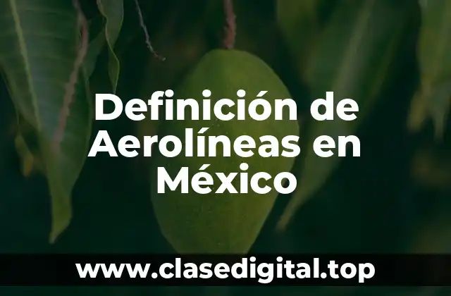 Definición de Aerolíneas en México