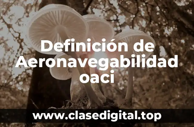 Definición de Aeronavegabilidad oaci