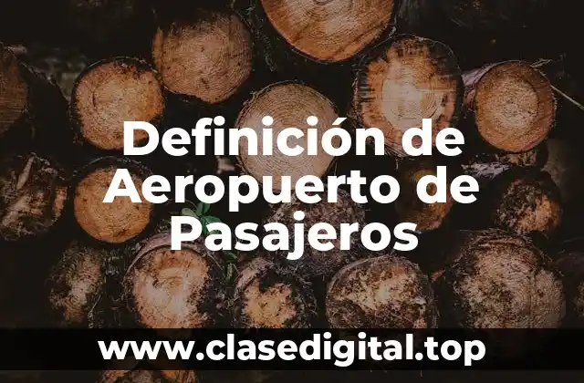 Definición de Aeropuerto de Pasajeros