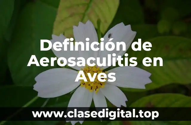 Definición de Aerosaculitis en Aves