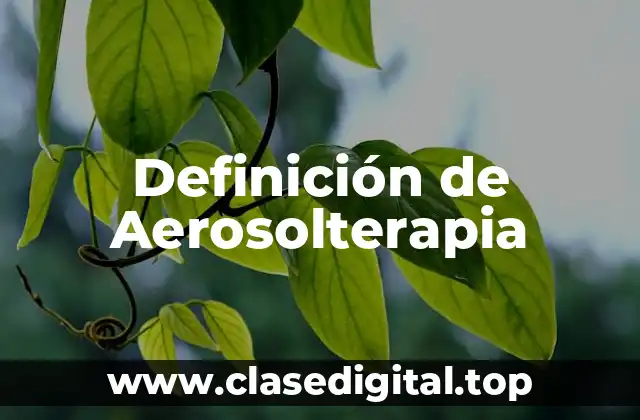 Definición de Aerosolterapia