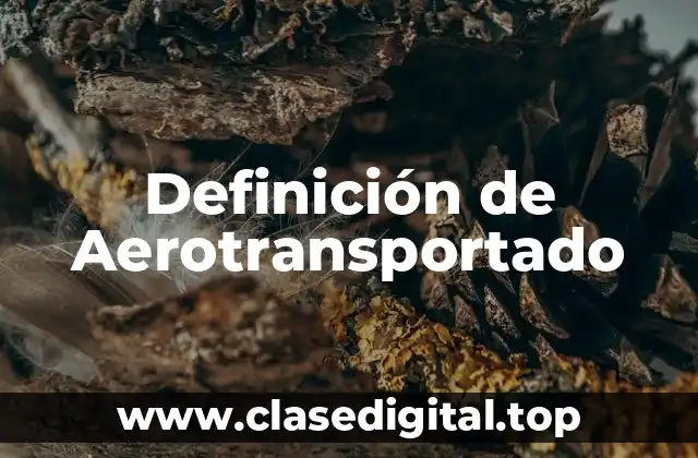Definición de Aerotransportado