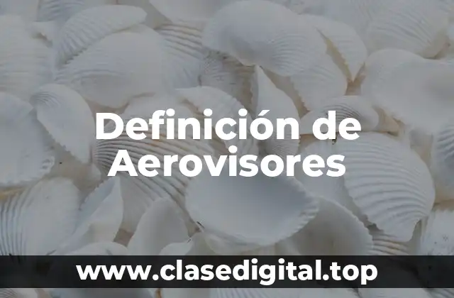 Definición técnica de Aerovisores