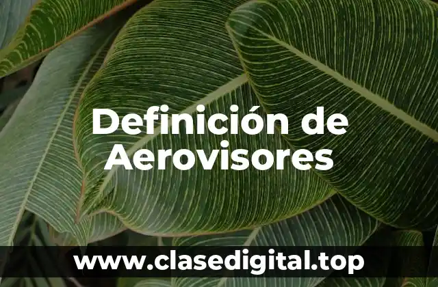 Definición de Aerovisores