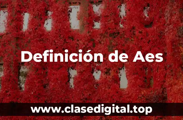 Definición técnica de Aes