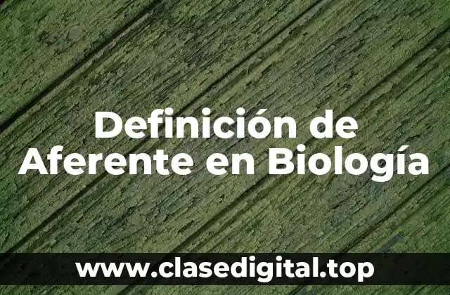 Definición de Aferente en Biología