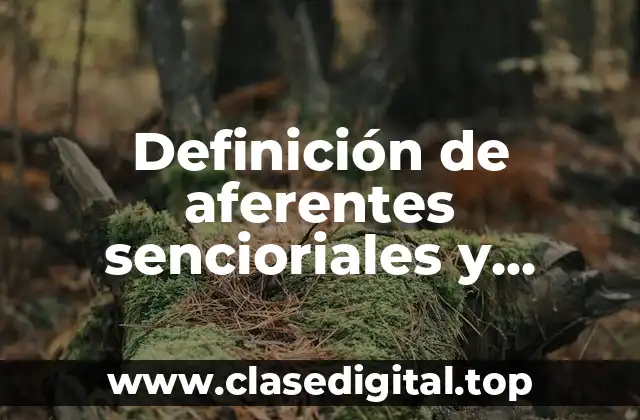 Definición de aferentes sencioriales y eferentes motoras