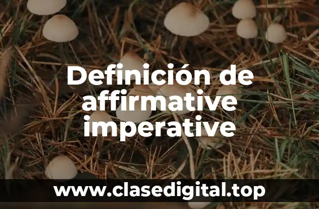Definición de affirmative imperative
