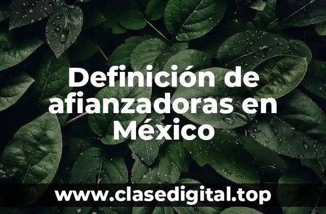 Definición de afianzadoras en México