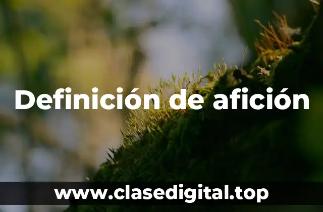 Definición de afición
