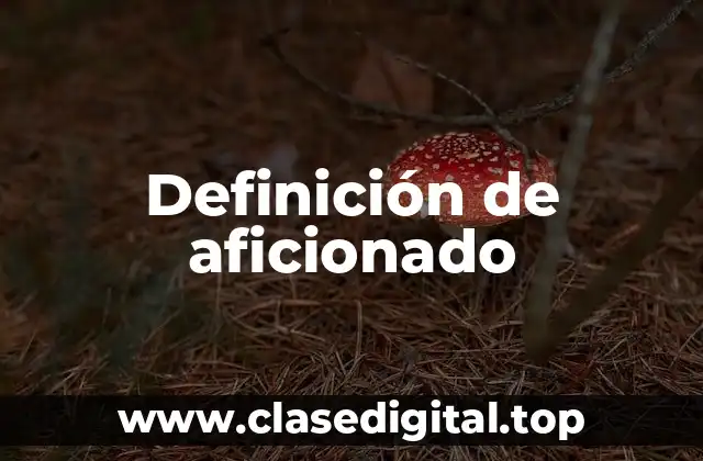 Definición técnica de aficionado